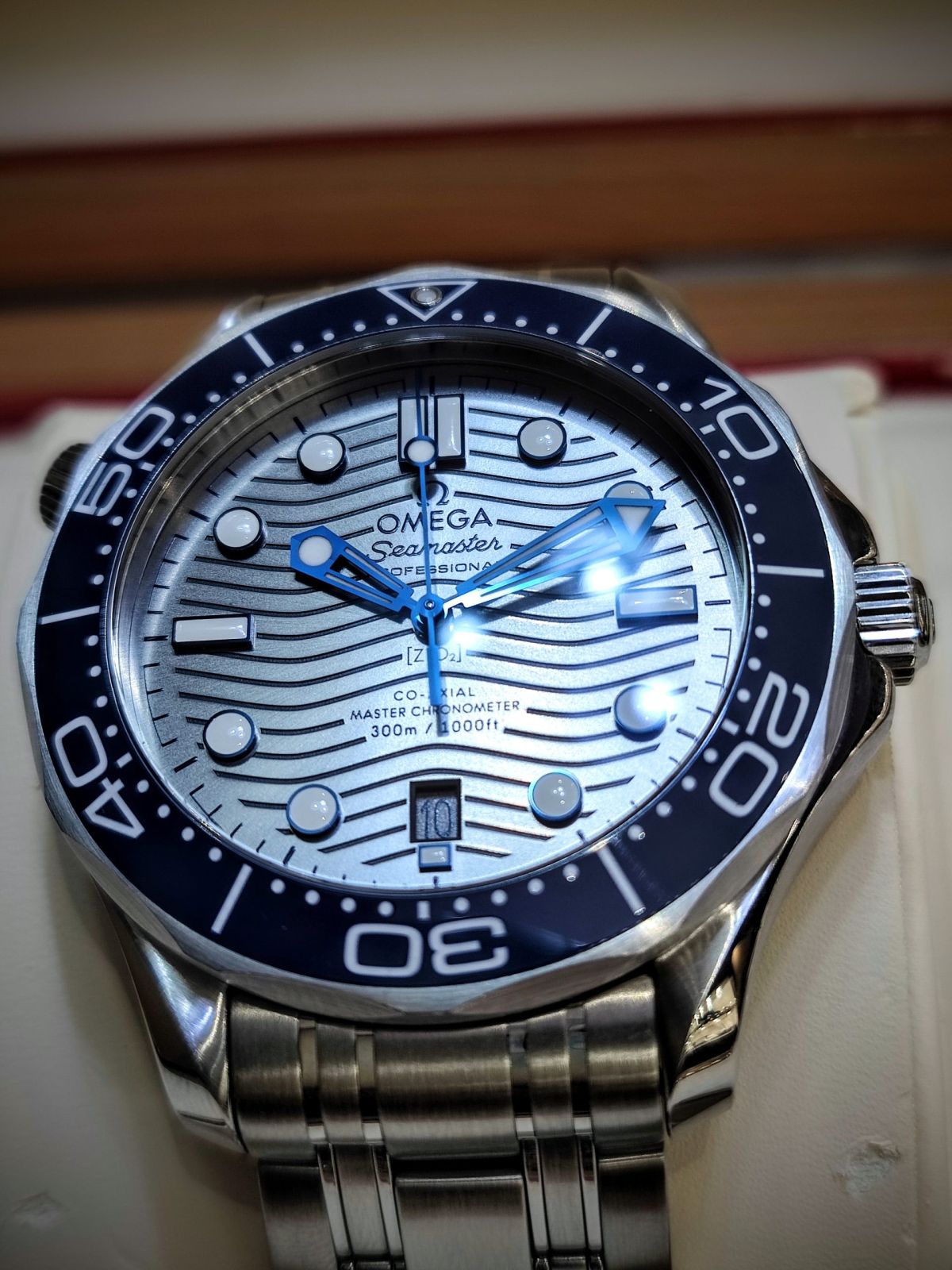 Seamaster 300