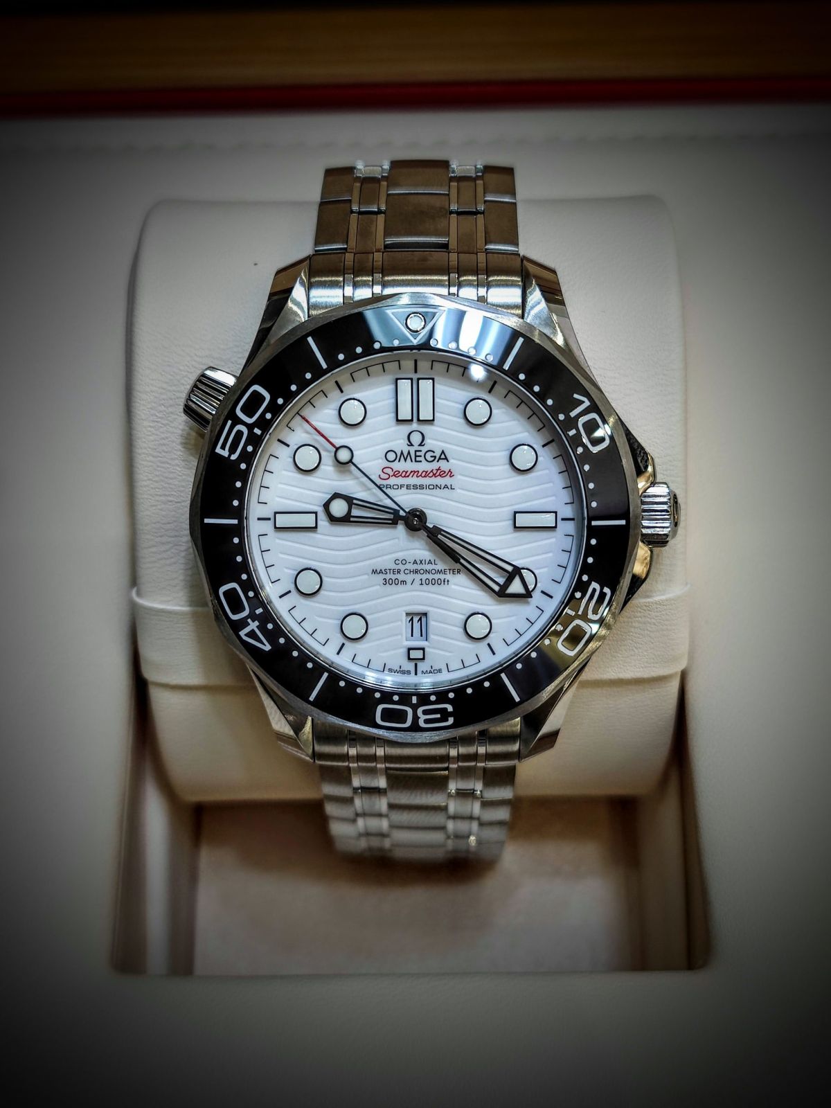 Seamaster 300