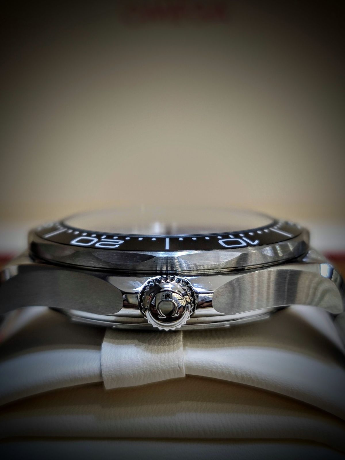 Seamaster 300