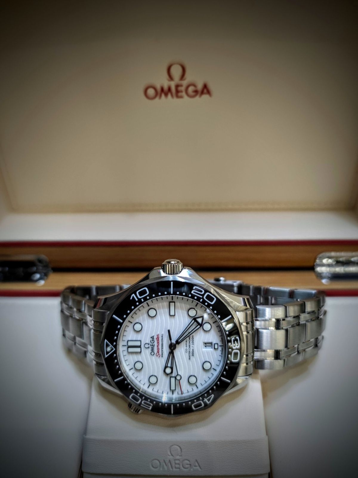 Seamaster 300