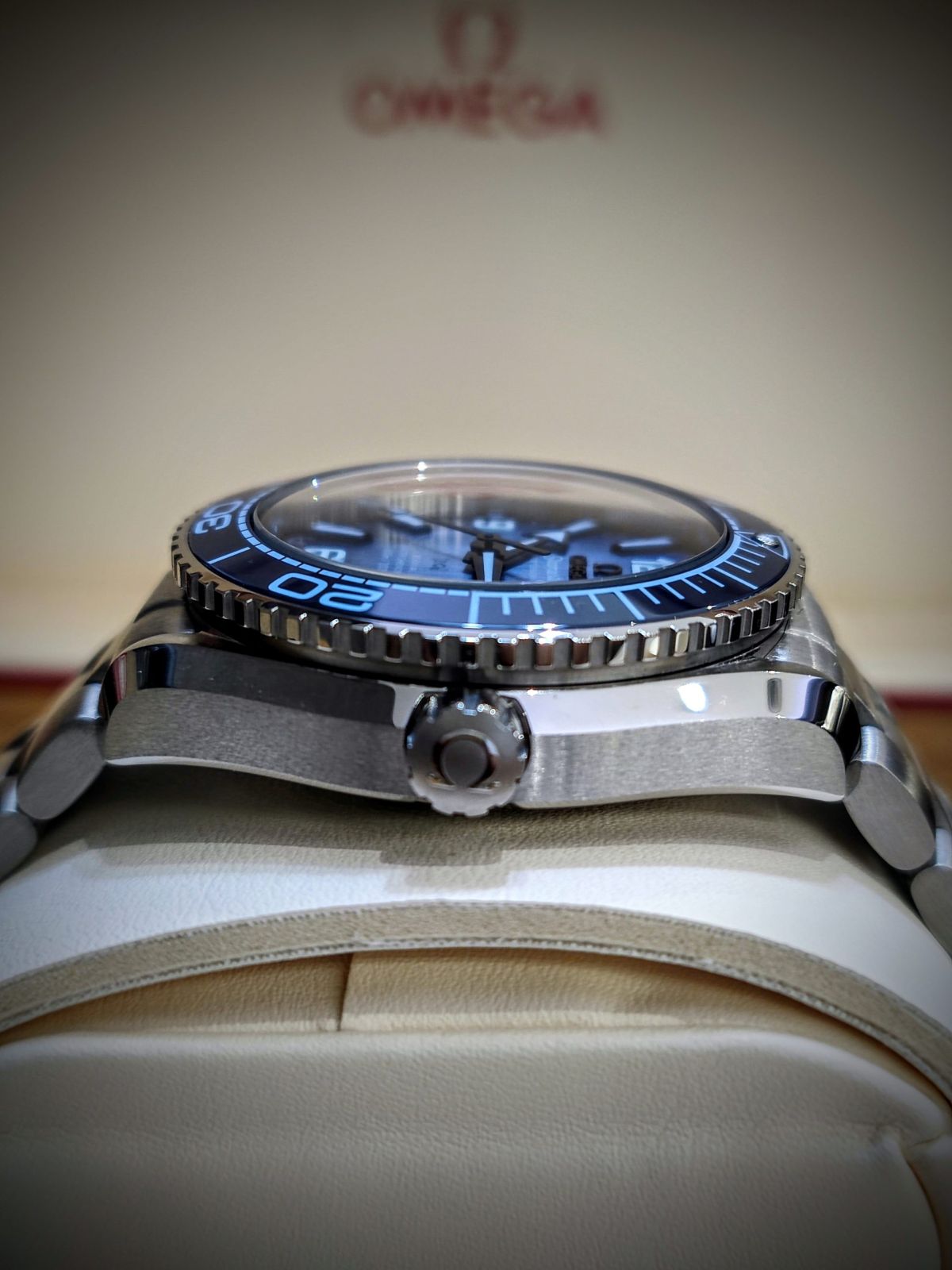Seamaster Planet Ocean 600