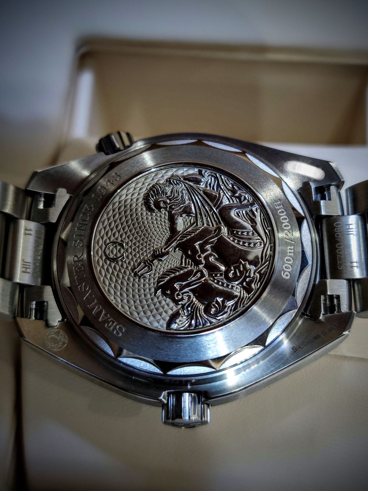 Seamaster Planet Ocean 600