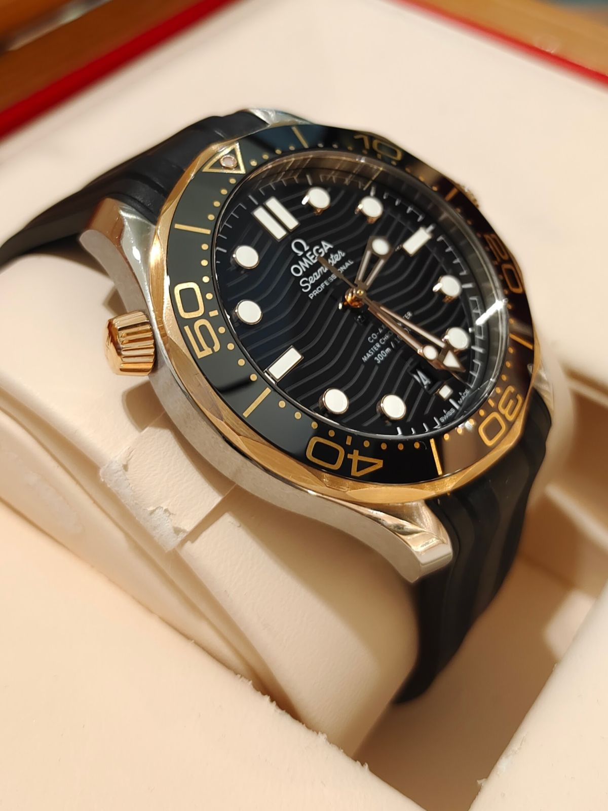 Seamaster Diver 300M / 21022422001002