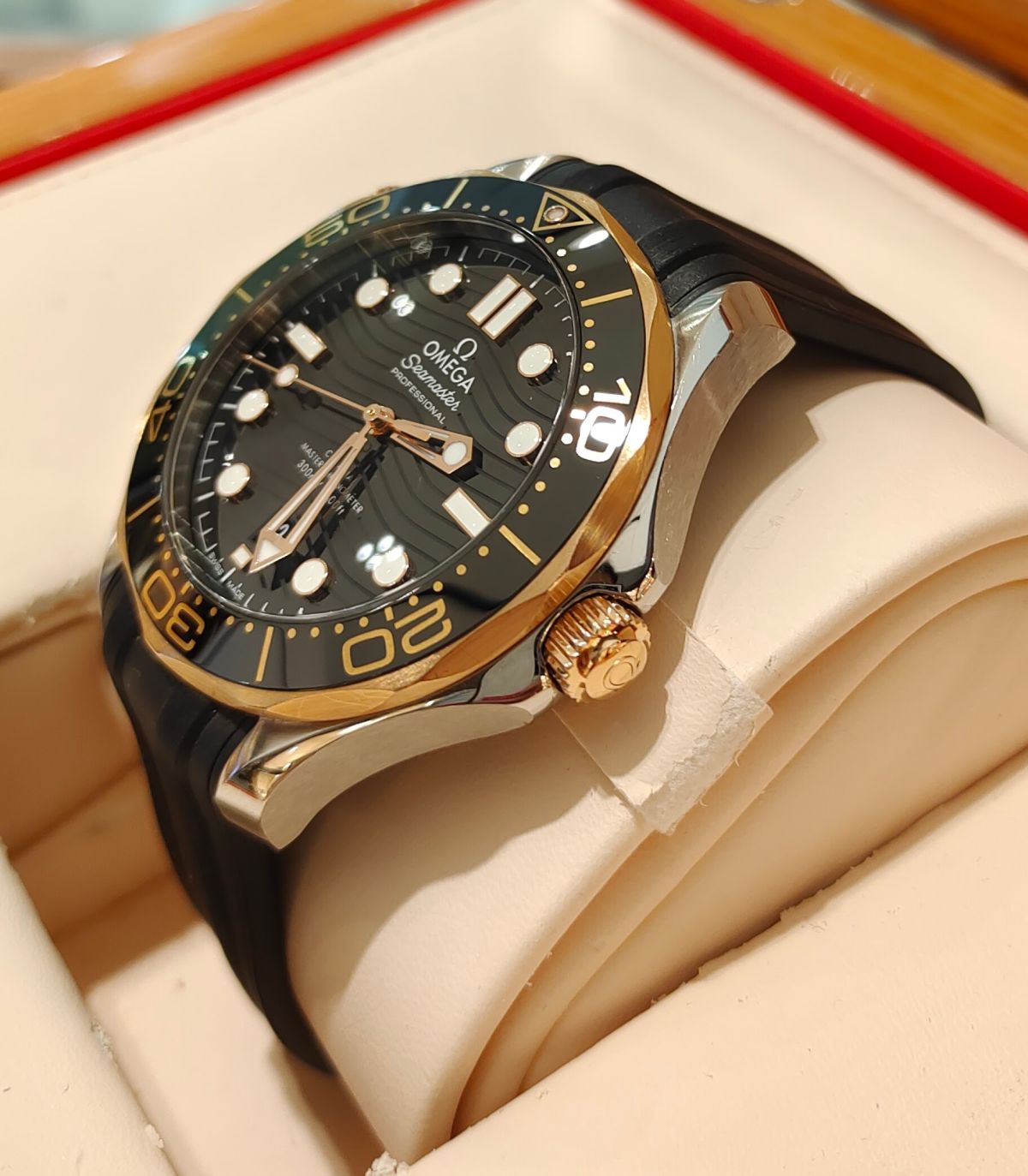 Seamaster Diver 300M / 21022422001002
