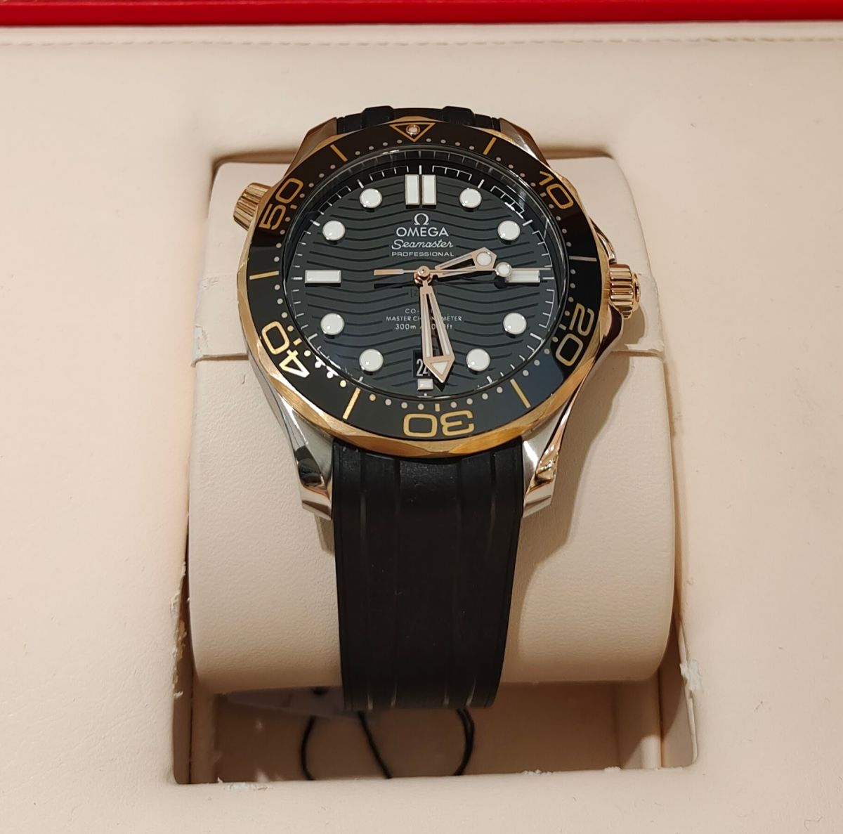Seamaster Diver 300M / 21022422001002