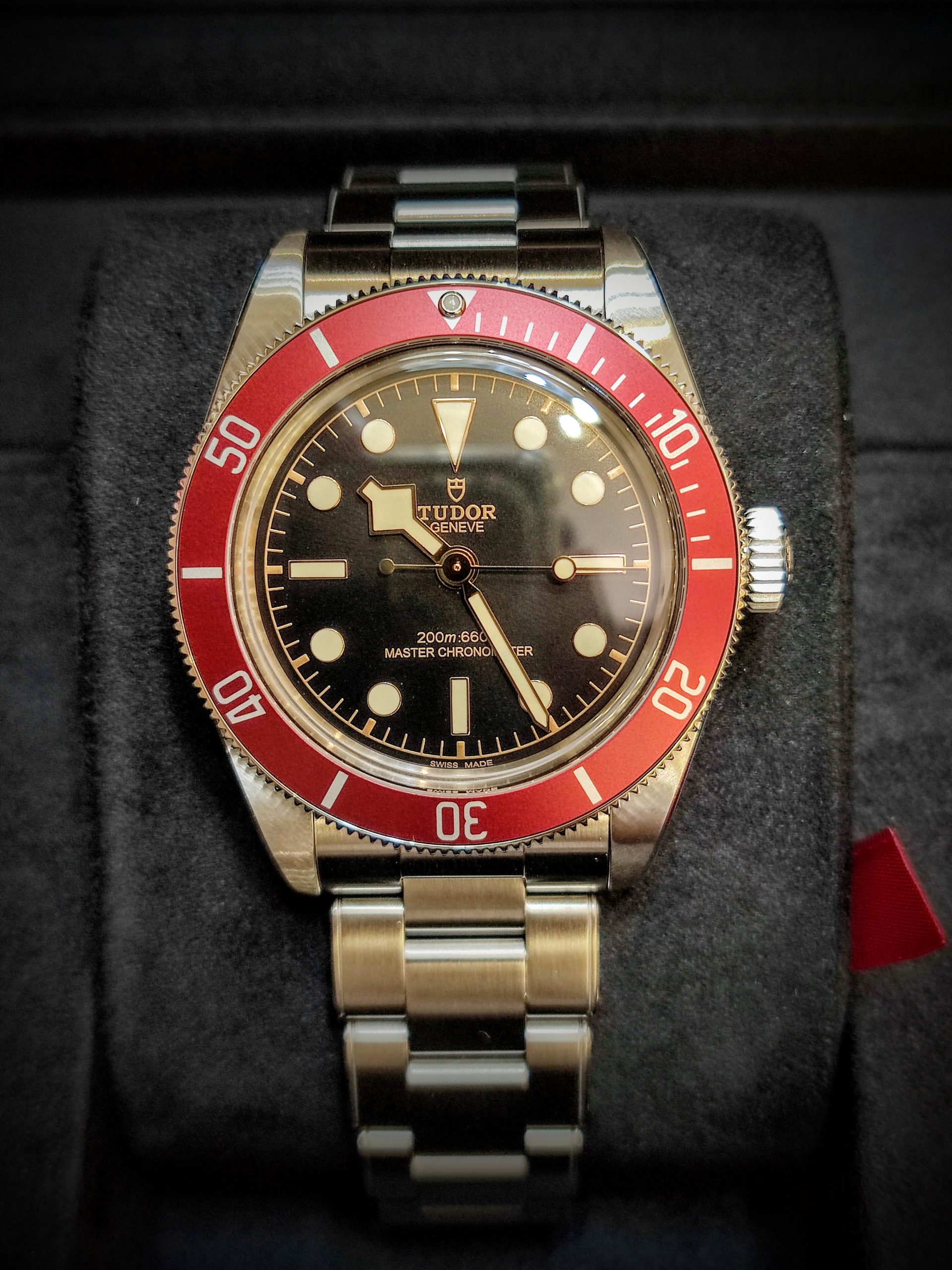 Tudor red hot sale